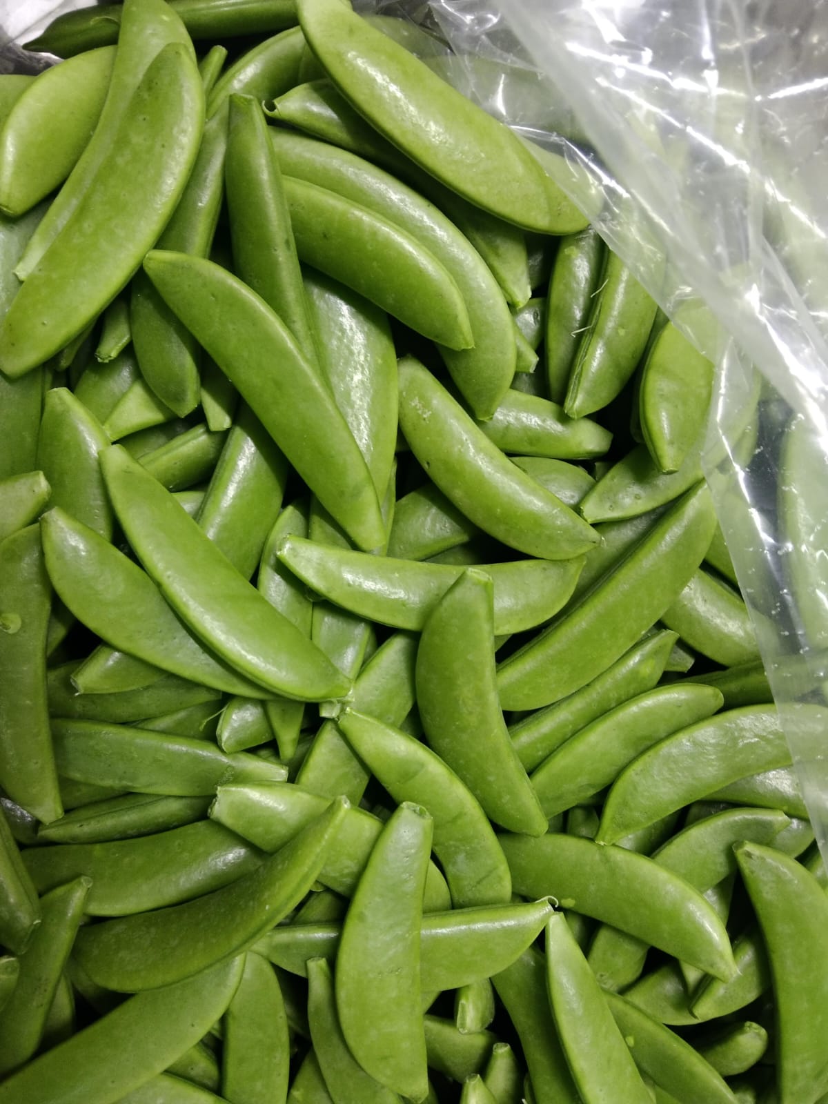 Fresh vegetables displayed together after harvesting